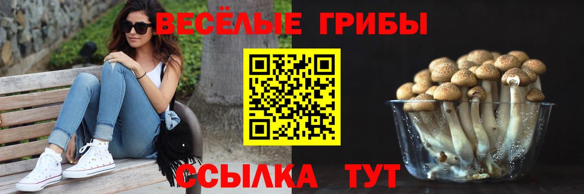 Лабытнанги  Галлюциногенные грибы MAGIC MUSHROOMS  Вход с VPN 